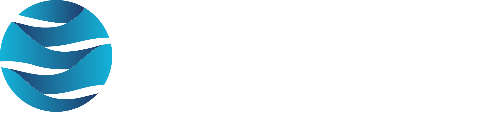 G20